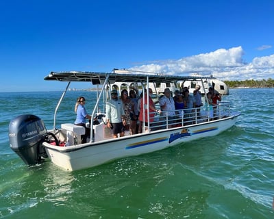 Full Day 10,000 Islands Wildlife & Beach Tour