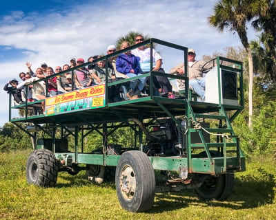 Everglades 30-Minute Swamp Buggy Tour