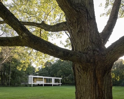 Self-Guided Grounds Visit at Edith Farnsworth House