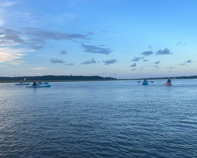 Guided Tidal Kayak Tour in Edisto Island