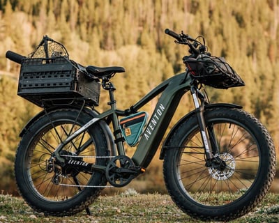E-Bike Rental in Cascade Locks