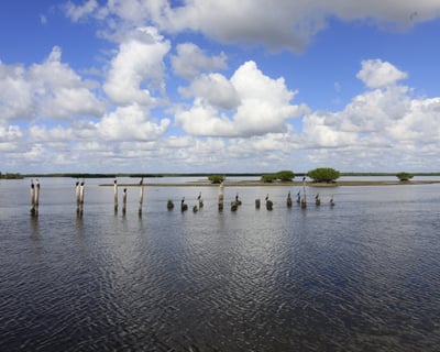 Family Fishing Charter in Naples