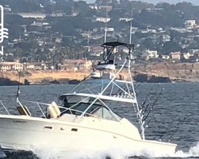 San Diego Full-Day Pelagic Birding Charter