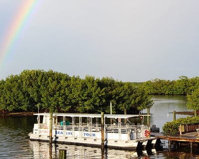 Tarpon Bay Naturalist-Led Wildlife Cruise
