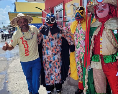 Guided Cultural Tour of San Juan