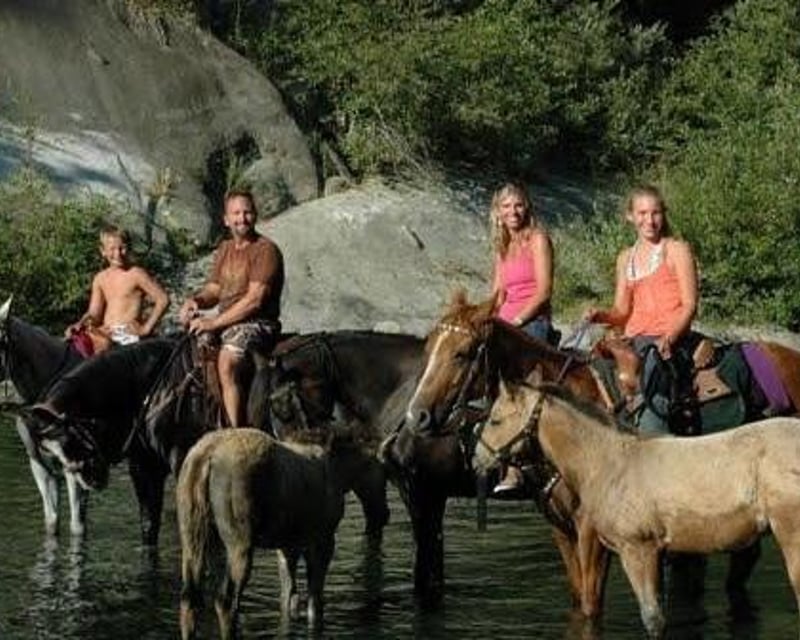 Guided Horseback Trail Ride for All Levels in Fortuna