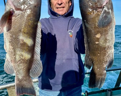 Blackfish and Sea Bass Full-Day Fishing Trip