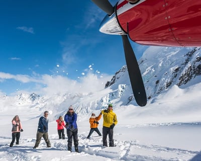 Glacier Landing Flightseeing Tour of Denali