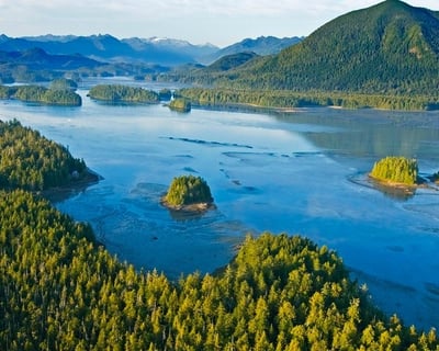 6-Hour Lemmens Inlet Sea Kayaking Tour in Tofino