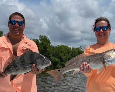 Everglades 6-Hour Backcountry Fishing Charter