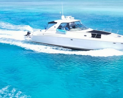 Afternoon Snorkeling Charter in Providenciales