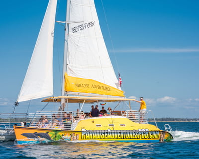 Private Snorkel and Dolphin Tour on the Footloose Catamaran