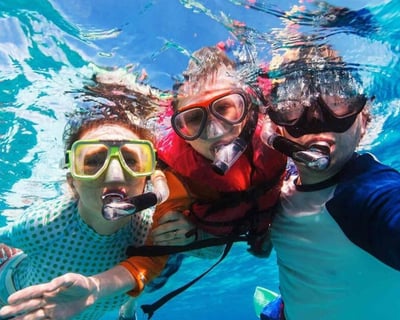 Snorkel & Watch Dolphins on a Pensacola Cruise