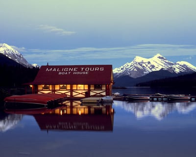 Explore Maligne Valley Wildlife Tour From Jasper