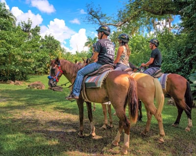 El Yunque Horseback Ride With River Swim
