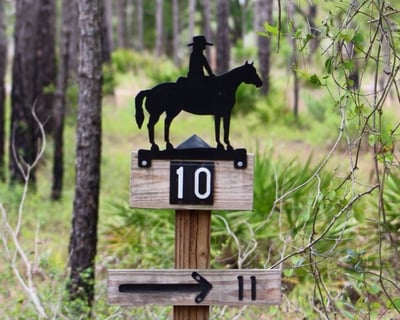 Horseback Riding Lesson in Clermont, FL