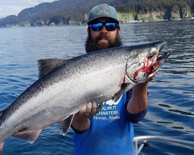 Homer Salmon Fishing Charter with Expert Captain
