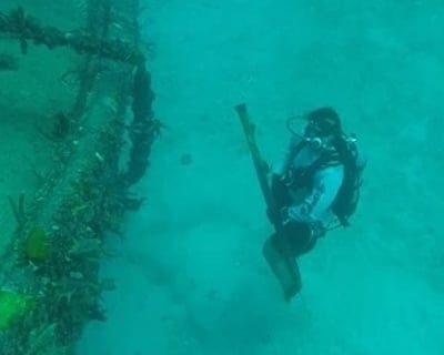 2-Tank Dive Charter in Pompano Beach