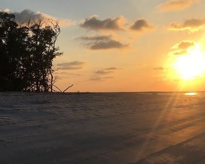 Sunset Shelling & Dolphin Cruise From Marco Island