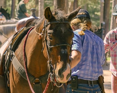 Guided 1-Hour Trail Ride in Custer State Park