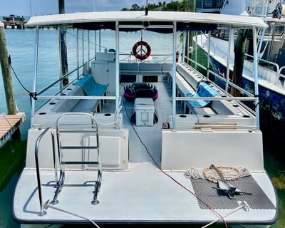 Clearwater Island & Sandbar Cruise