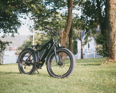 5-Hour E-Bike Rental on Trail of the Coeur d'Alenes