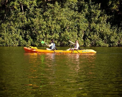 5-6-Hour Wailua River Kayak & Hike Tour