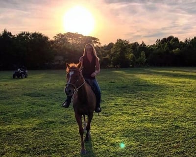 Suffolk Horseback Trail Ride & Petting Zoo