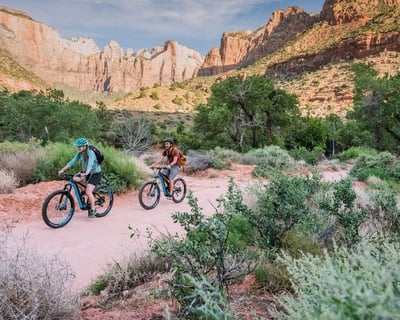Scenic Zion Canyon E-Bike Tour