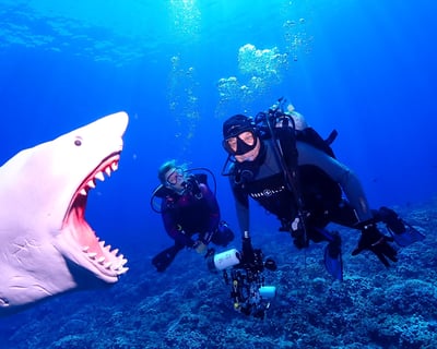 Carthaginian Wreck and West Maui Reef Dives