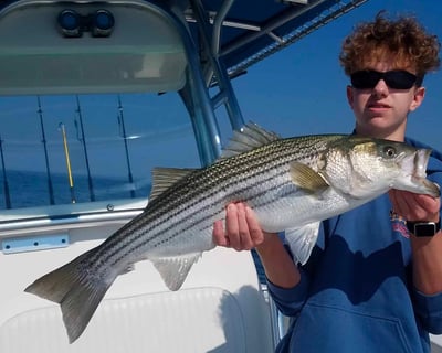 Cape Cod Half Day Striper Fishing Charter