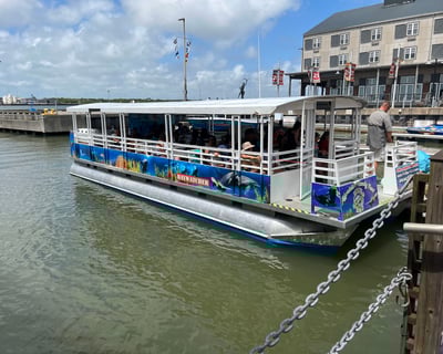 Galveston Dolphin Cruise: 45-Minute Harbor Tour
