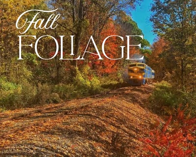Fall Foliage Train Ride in Gowanda