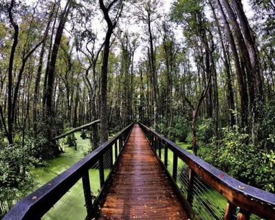 Self-Guided 35-Mile E-Bike Tour in Panama City Beach