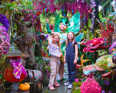 Explore an Enchanted Fairy Garden in San Francisco