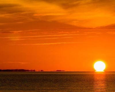 Roanoke Island Dolphin Watching Sunset Cruise