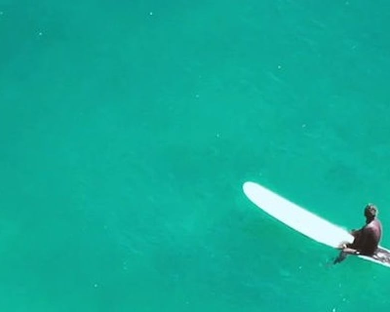 8'4" Beginner Surfboard Rental in Surfside Beach