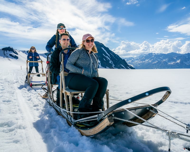 Seward Glacier Dogsled Helicopter Tour