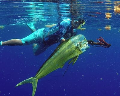 Islamorada Spearfishing Charter