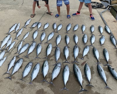 Panama City Trolling Charter