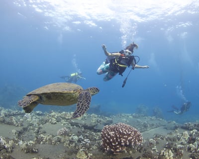 First-Time Scuba with PADI Pro in Lahaina