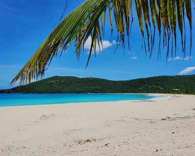 Round-Trip Shuttle From San Juan to Ceiba Ferry Terminal