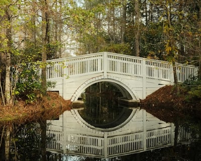 Charleston Village 2-Hour History Tour