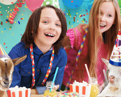 3-Hour Farm Birthday Party in Glen Allen