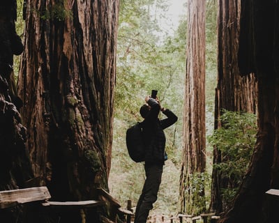 Muir Woods & Sausalito Guided Tour From San Francisco