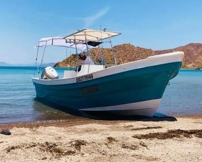 5-Hour Fishing Charter in Loreto