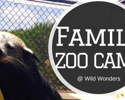 Family Zoo Keeper Experience in Bonsall