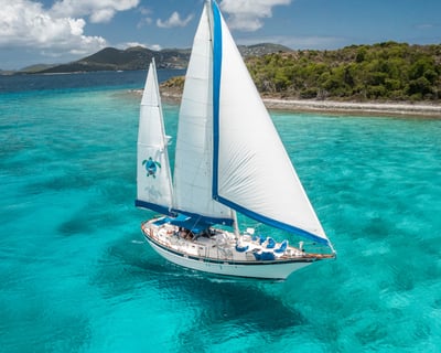 Full-Day Sailing Charter in St. Thomas