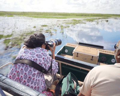 Everglades 1.5-Hour Airboat Tour
