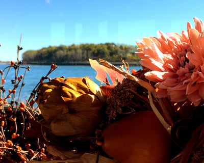 2-Hour Fall Brunch Cruise in Boston Harbor
